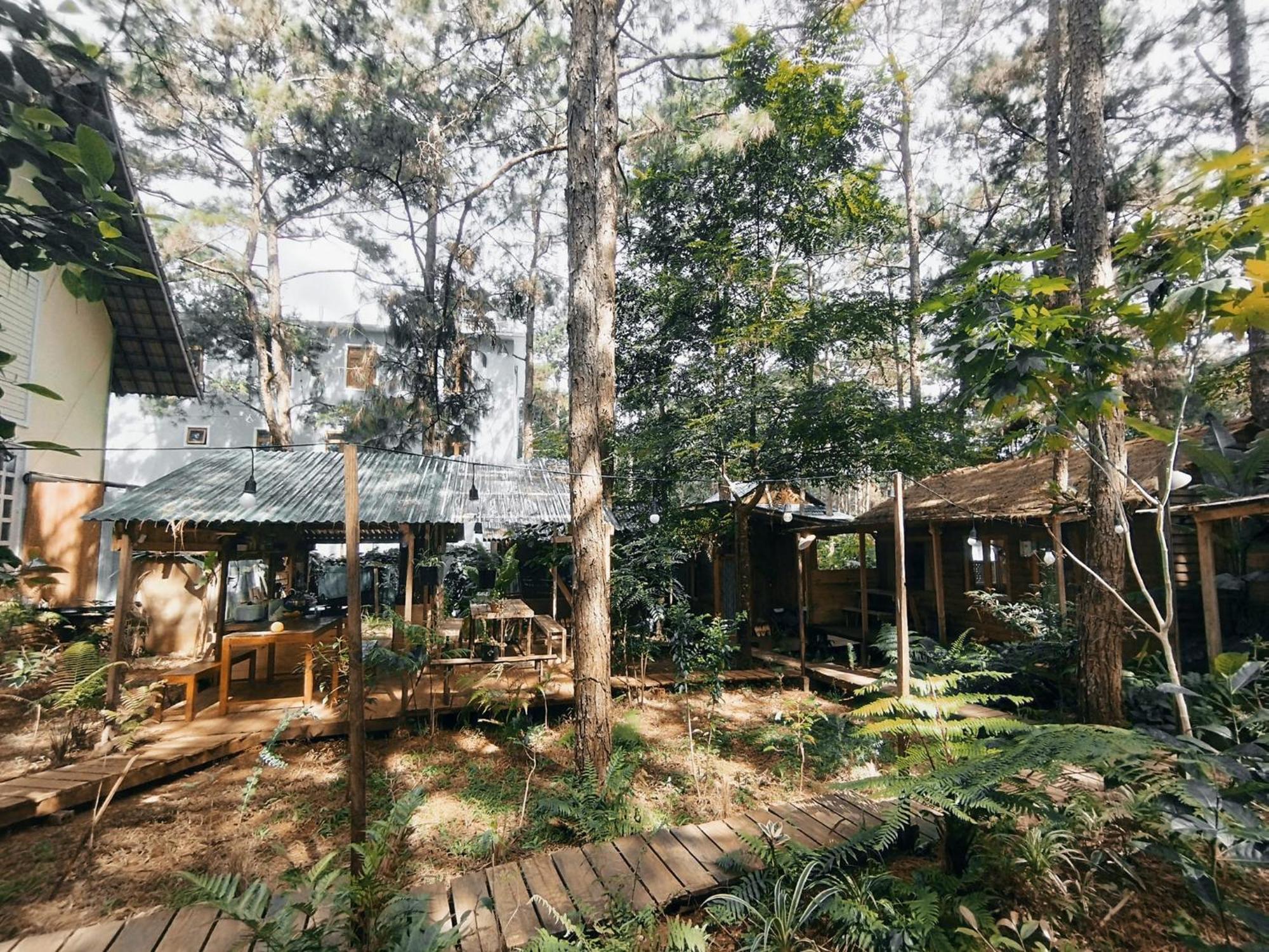La Maison Homestay Măng Đen Kon Tum Ngoại thất bức ảnh