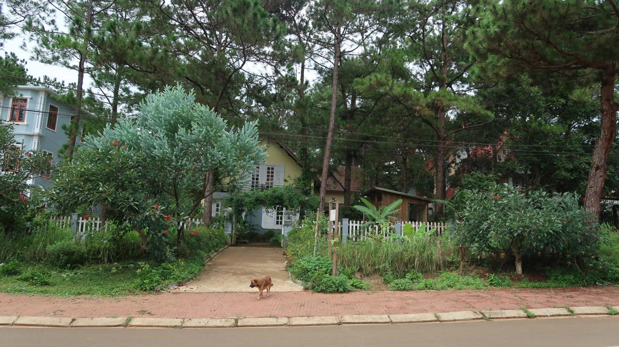 La Maison Homestay Măng Đen Kon Tum Ngoại thất bức ảnh