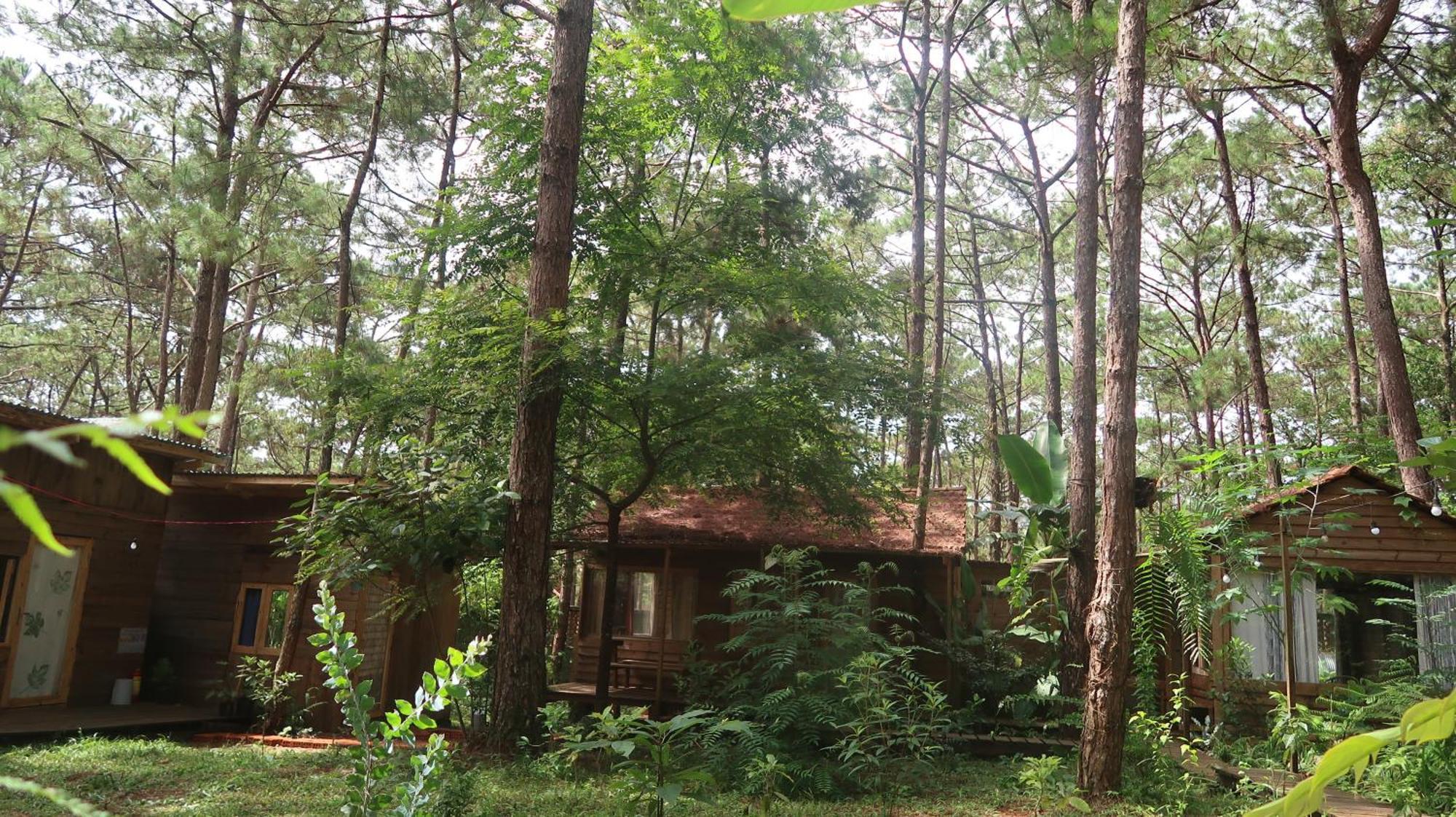 La Maison Homestay Măng Đen Kon Tum Ngoại thất bức ảnh